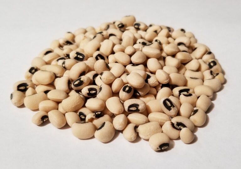 Organic White Cowpeas (Safed Chawala) 100g (By weight) - Spicebox Organics