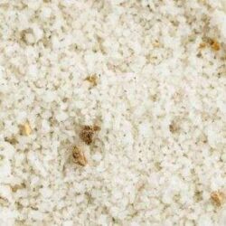 SpiceBox Organics Organic Truffle Salt 20g (By Weight)