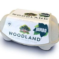 Woodland Free Range Jumbo Eggs (Pack of 6)