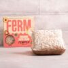 FERM Fresh Organic Soya Bean Tempeh (200g x 2) 400g FERM Fresh Organic Soya Bean Tempeh (200g x 2) 400g