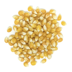 Organic Popcorn 100g (By Weight)