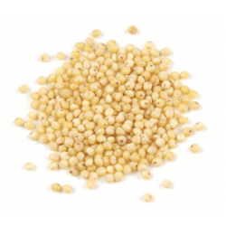 Organic Yellow Millet Grains 100g (By Weight)