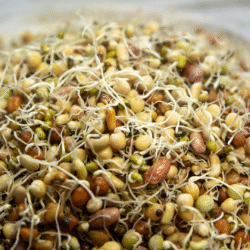 Mixed Bean Sprouts 100g