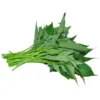 Potato leaves